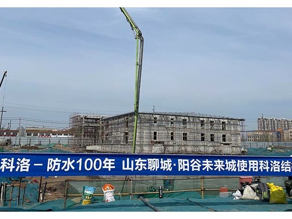 無機納米抗裂防滲劑應(yīng)用山東陽谷未來城