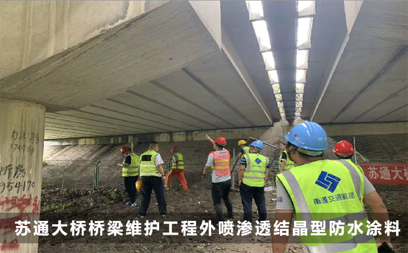 蘇通大橋橋梁維護工程外噴滲透結晶型防水涂料
