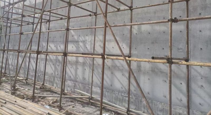 六安金安污水處理廠使用科洛結構自防水